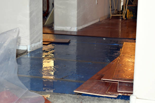 Professional Emergency Water Damage Restoration technician working in Marion, IA